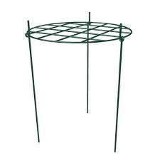 Rusty Plant Support Circular